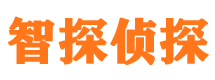 平和市私家侦探公司